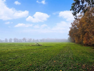 Grünland im Nordenholzermoor!, 27798 Hude, Land-/Forstwirtschaft